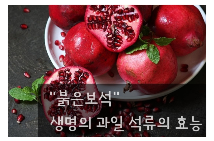 �Ǽ��縮 ��ǰ�� �̹���-S1L21